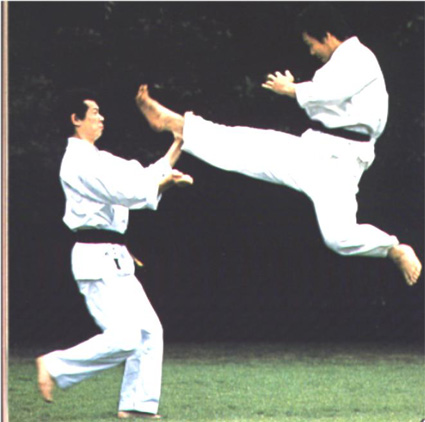 TJ Sokol - oddíl moderního sportovního karate Vysoké Mýto TJ Sokol - oddíl moderního sportovního karate Vysoké Mýto