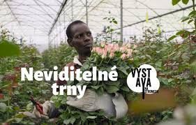 Výstava na stromech - happening