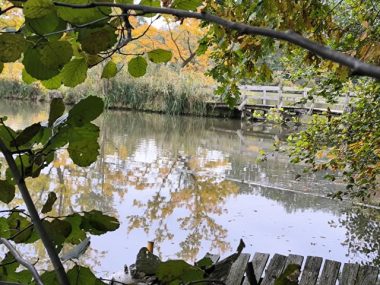 Revitalizace rybníku Malý Chobot