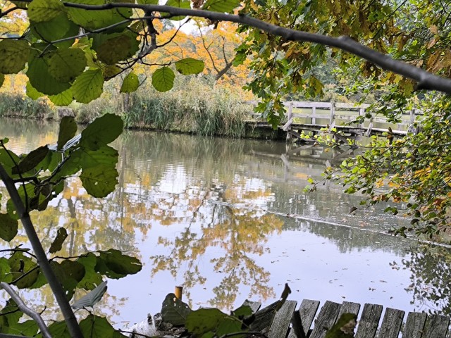 Revitalizace rybníku Malý Chobot