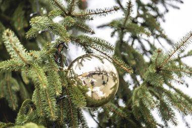 Vysoké Mýto zahájilo advent tradičním jarmarkem, Mikulášským vlakem a rozsvícením vánočního stromu