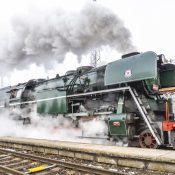 Foto Petra Šplíchalová