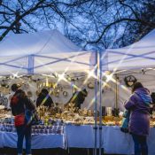 Foto Petra Šplíchalová