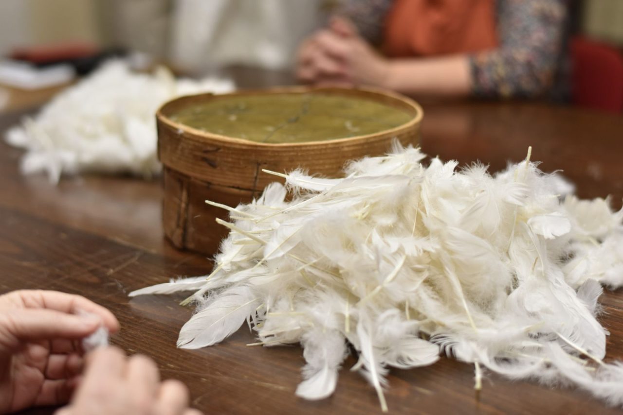 Draní peří Draní peří