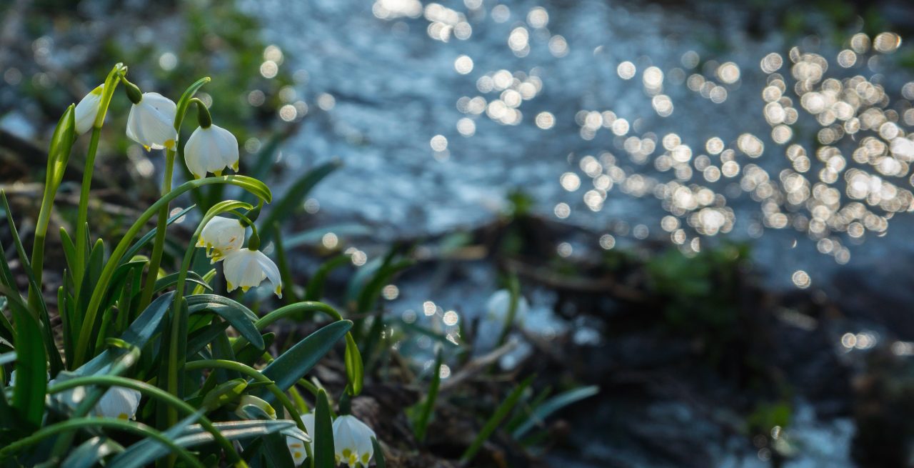 Krajina ve fotografii