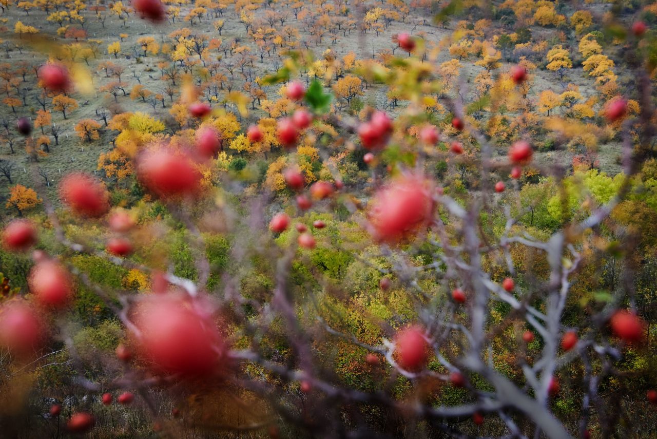 Za chaosem Za chaosem