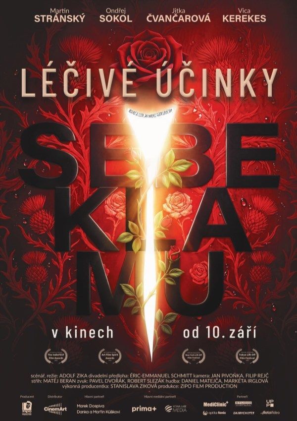 Léčivé účinky sebeklamu Léčivé účinky sebeklamu
